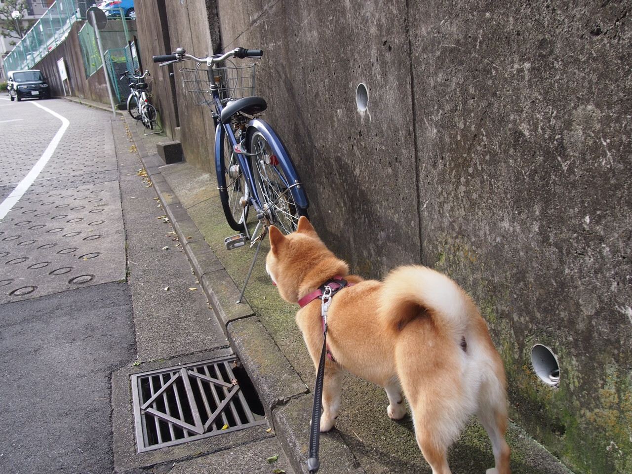 熊猫体育平台-死神降临与魔术奇迹，杜兰特关键时刻的挺身而出与奥兰多的加时逆袭