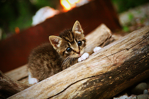 南美风暴再起，巴拉圭爆冷新西兰，阿圭罗硬仗之王本色尽显