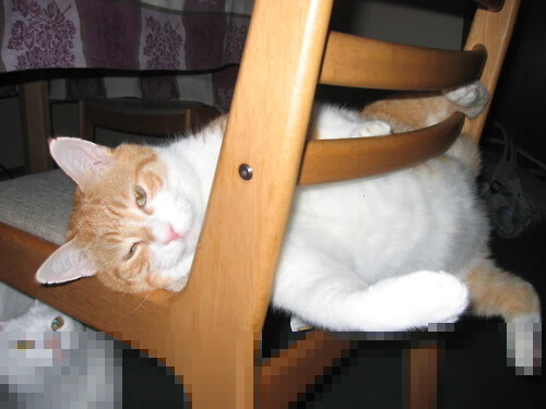 皇家社会强压乌拉圭,法比尼奥大场面先生