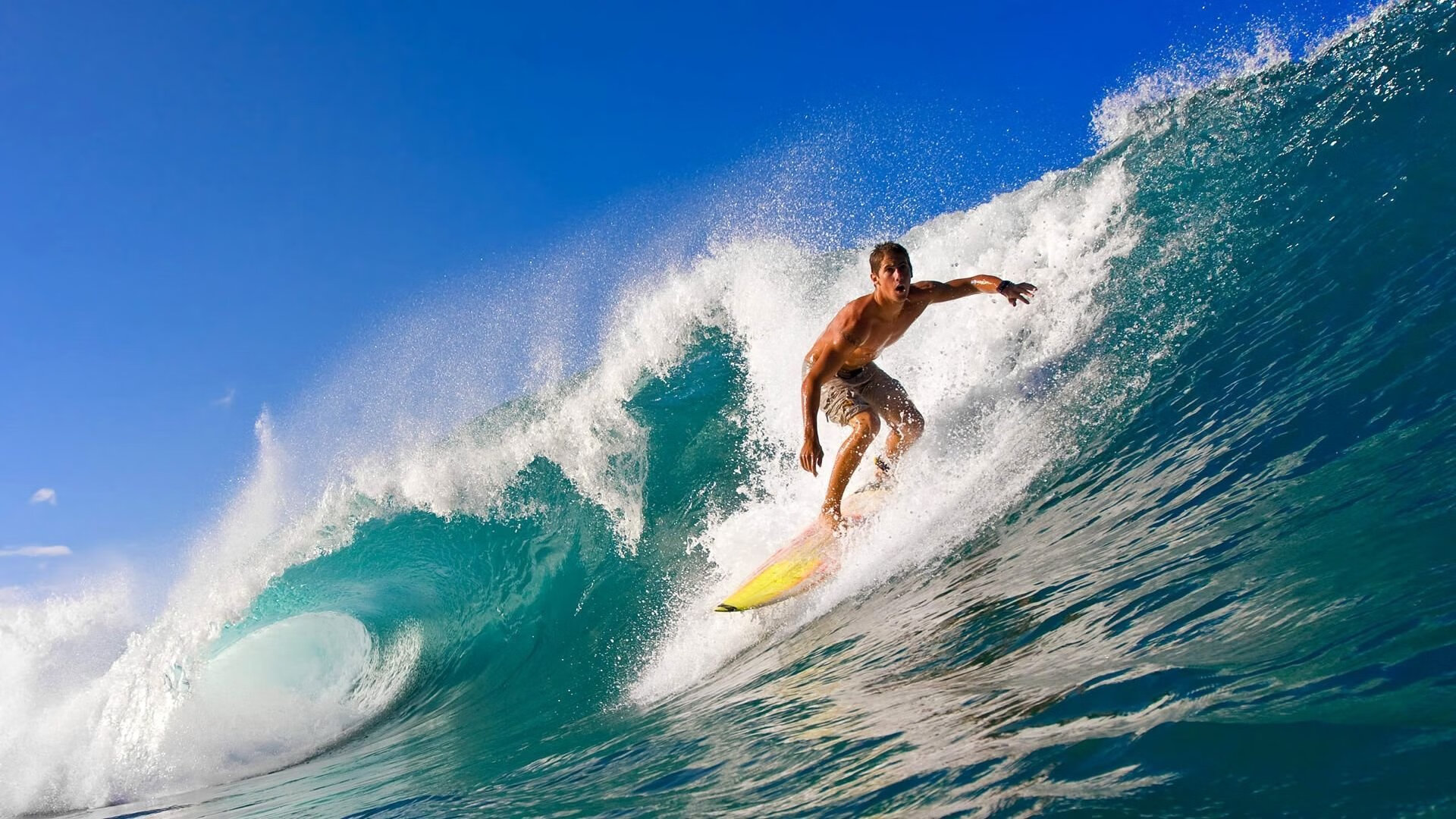 文班亚马的统治时刻，黄蜂以窒息式火力压制开拓者，新星成胜负主宰