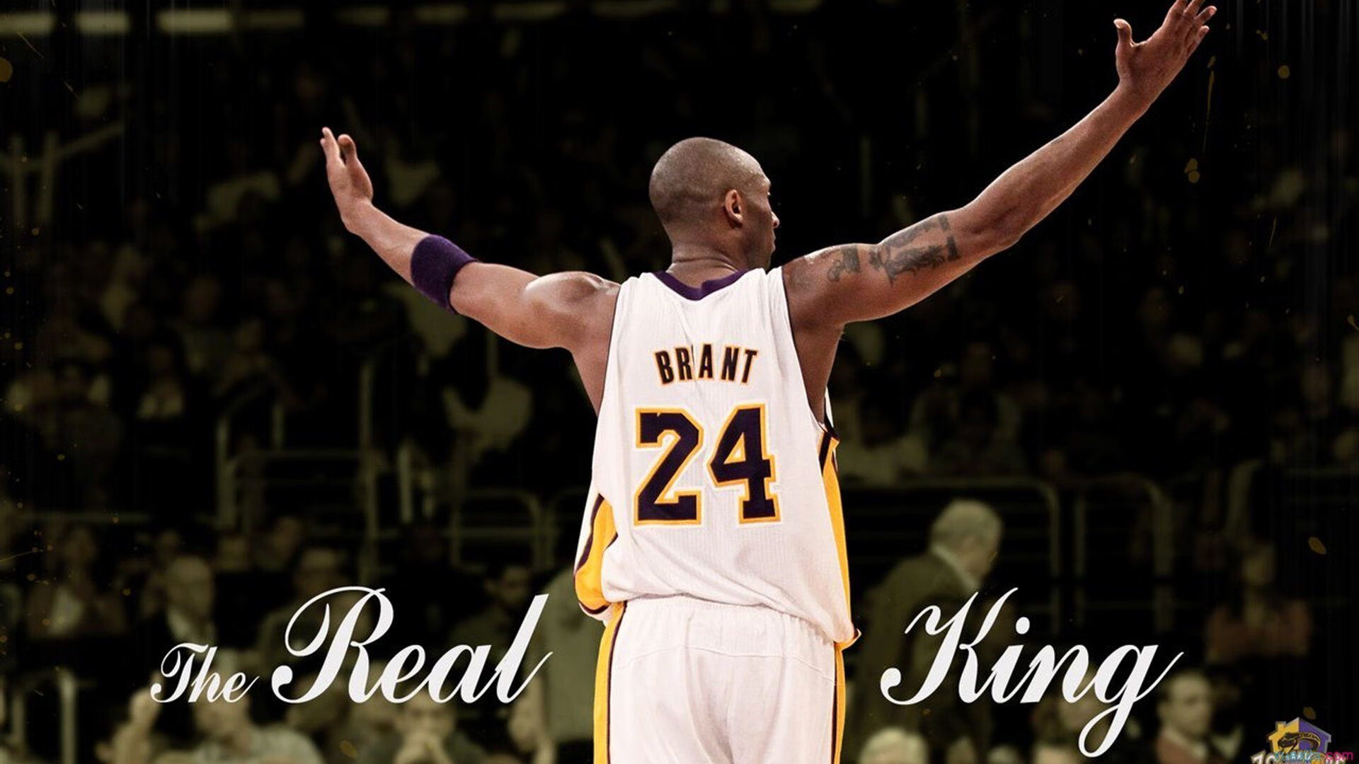 当足球改写地图,秘鲁打穿阿尔及利亚,凯恩化身关键先生